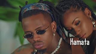 Diamond Platnumz  Kamata Official Music Video [upl. by Cris554]