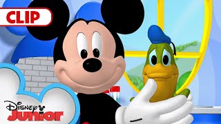 Donald Turns Into a Frog 🐸  Mickey Mouse Clubhouse  disneyjr​ [upl. by Aniratak]