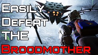 How to defeat the Broodmother UPDATED  Grounded [upl. by Dyrrej]