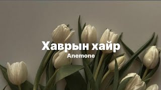 Anemone  Havriin hair  Lyrics [upl. by Ydnic]