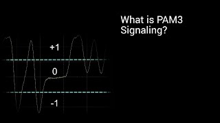 What is PAM3 Signaling [upl. by Tabbatha]