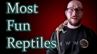 Top 5 Most FUN Interactive Reptiles [upl. by Weismann]