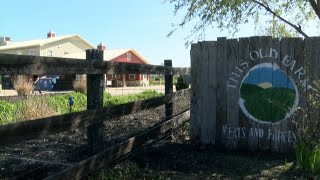 The story behind This Old Farm in Montgomery County [upl. by Muhan402]