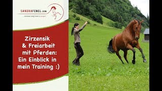 Zirzensik amp Freiarbeit Einblick in den Trainingsalltag von Sandra Fencl [upl. by Massarelli]