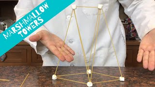 Marshmallow Tower Challenge [upl. by Harli]