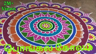 pongal kolam big rangoli designs with colours Pongal rangoli designs பொங்கல் கோலங்கள் ரங்கோலி [upl. by Nooj448]