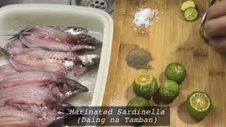 Tamban daing recipe  Marinated Sardinella  How to cook  Quick and easy [upl. by Ahsitil]