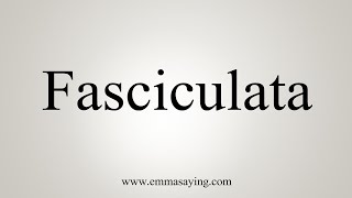 How To Say Fasciculata [upl. by Eemiaj]