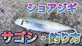 【ショアジギング 】サゴシの釣り方解説！in貝塚人工島 [upl. by Zirkle]