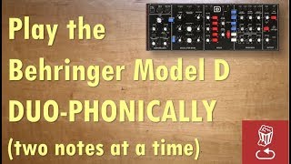 How to quotupgradequot the Behringer Model D to a duophonic synth [upl. by Ahcirt]