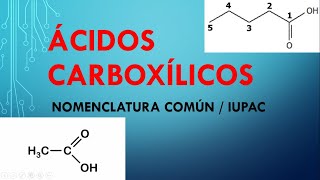 ÁCIDOS CARBOXÍLICOSNOMENCLATURA COMÚNIUPAC [upl. by Bethina]