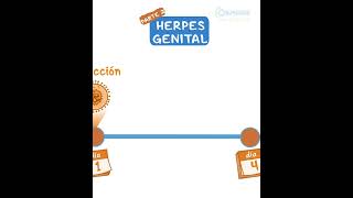 Herpes Genital pt 2 [upl. by Yasmine]