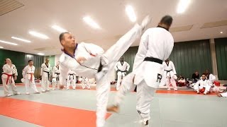 Taekwondo avec Ludovic Vo [upl. by Enaled]