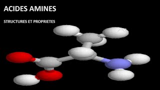 Structures et propriétés des Acides Aminés [upl. by Falconer857]