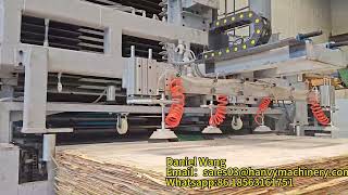 Plywood Hot Press Machine with Automatic Loader [upl. by Larcher]