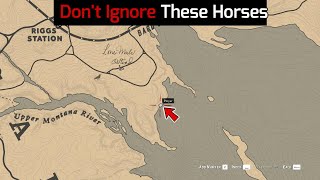 Do Not Ignore These Horses On Your 2nd Playthrough  RDR2 [upl. by Alaekim]