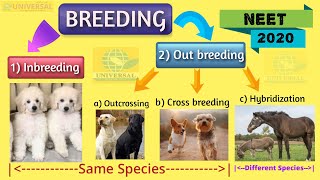 NEET Bio  Inbreeding Out breeding and Cross breeding  CBSE Class 12 Biology Animal breeding [upl. by Anerat]