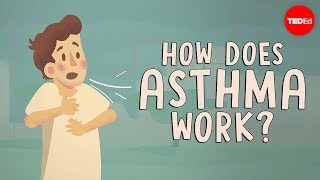 How does asthma work  Christopher E Gaw [upl. by Siraval]