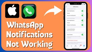 How to Fix ‘WhatsApp Notifications Not Working’ in iPhone  iPad  iOS 17 [upl. by Namialus102]