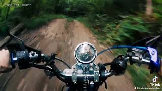 Rebel 250 cmx scrambler trail ride [upl. by Ernald]