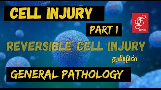 CELL INJURY IN TAMIL  GENERAL PATHOLOGY [upl. by Aisatsana]