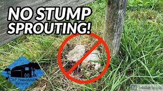 Treating Stumps with Tordon RTU Four Months Later [upl. by Enileqcaj66]