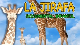 LA JIRAFA🦒 Videos educativos para niñosAnimales de la sabana Los animalesDocumentales para niños [upl. by Ingra]