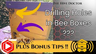 Why I Drill Holes in my Hive Boxes amp Several Equipment Tips for FallWinter [upl. by Kolnick]