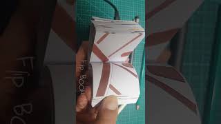 Home Alone 2 Flipbook [upl. by Tonneson137]