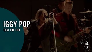 Iggy Pop Lust For Life Post Pop Depression Live At The Royal Albert Hall [upl. by Publea221]