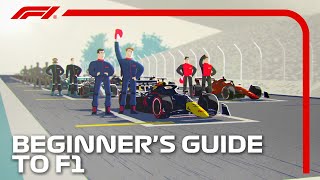 Beginners Guide to F1 [upl. by Wester]