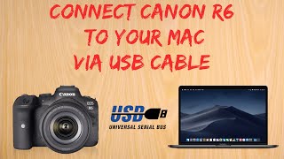 Canon R6 tip 3 How to connect to a Mac via USB cable [upl. by Koerlin]