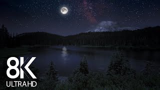 10 HRS of Nighttime Nature Soundscapes Lake Waves Cicadas Crickets  8K Enchanting Night [upl. by Ainat]