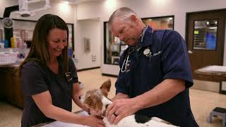 TVMAs Certified Veterinary Assistant Program Earns Second Award [upl. by Magda]