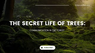 The Secret Life Of Trees Communication in the Forest [upl. by Ahsienod]