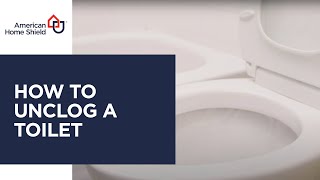 How to Unclog a Toilet [upl. by Maeve]