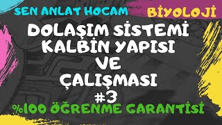 DOLAŞIM SİSTEMİ KONU ANLATIMI 4  SA  AV DÜĞÜM  PURKİNJE LİFLERİ AYT BİYOLOJİ  ✅ [upl. by Nettirb991]