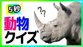 【動物クイズ】どんな動物かわかるかな？new Level 123 [upl. by Lindo855]