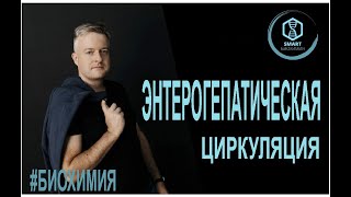 Биохимия Энтерогепатическая циркуляция [upl. by Ahseiuqal]