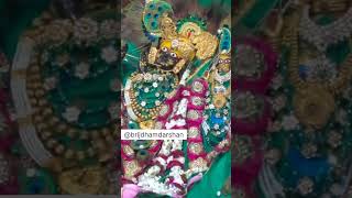 Barsana dham hariyali teej 🙏radhakrishna krishna vrindavan bankebihari viralvideo [upl. by Pineda]