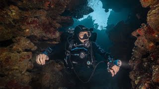 Scuba Diving in Roatan Honduras what to expect in 2024 cocoview resort [upl. by Natale]