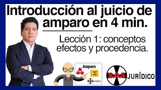 JUICIO DE AMPARO Introducción en 4 minutos [upl. by Nellahs]