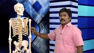 Arms Bone Fracture Treatment Explain Tamil Vadapalani Putturkattu Dr R S Velumani [upl. by Mullac583]