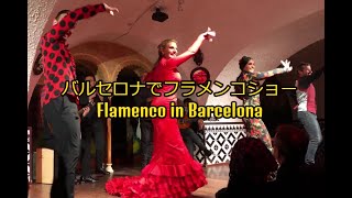 バルセロナで最高のフラメンコショー Flamenco in Barcelona [upl. by Accber]