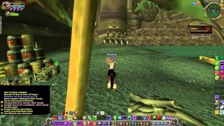 Infiltrate the Black Temple  Warlock Green Fire Questline part 1 [upl. by Luanne]