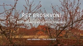 Řez broskvoní  řez stromů s kotlovitou korunou 2 díl [upl. by Sheelah]