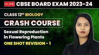 Sexual Reproduction in Flowering Plants  One Shot Revision Part 1  Class 12 Biology Chapter 1 [upl. by Shauna]