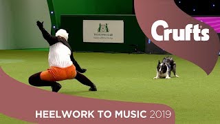 Freestyle International Heelwork to Music  Part 3  Crufts 2019 [upl. by Ithsav]