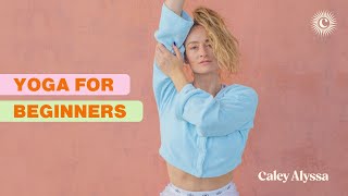 Yoga for Beginners  20 minute yoga class with Caley Alyssa [upl. by Anihs]