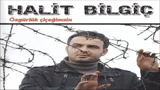 HALİT BİLGİÇ  BİZ YIKILMAYIZ [upl. by Raseta813]